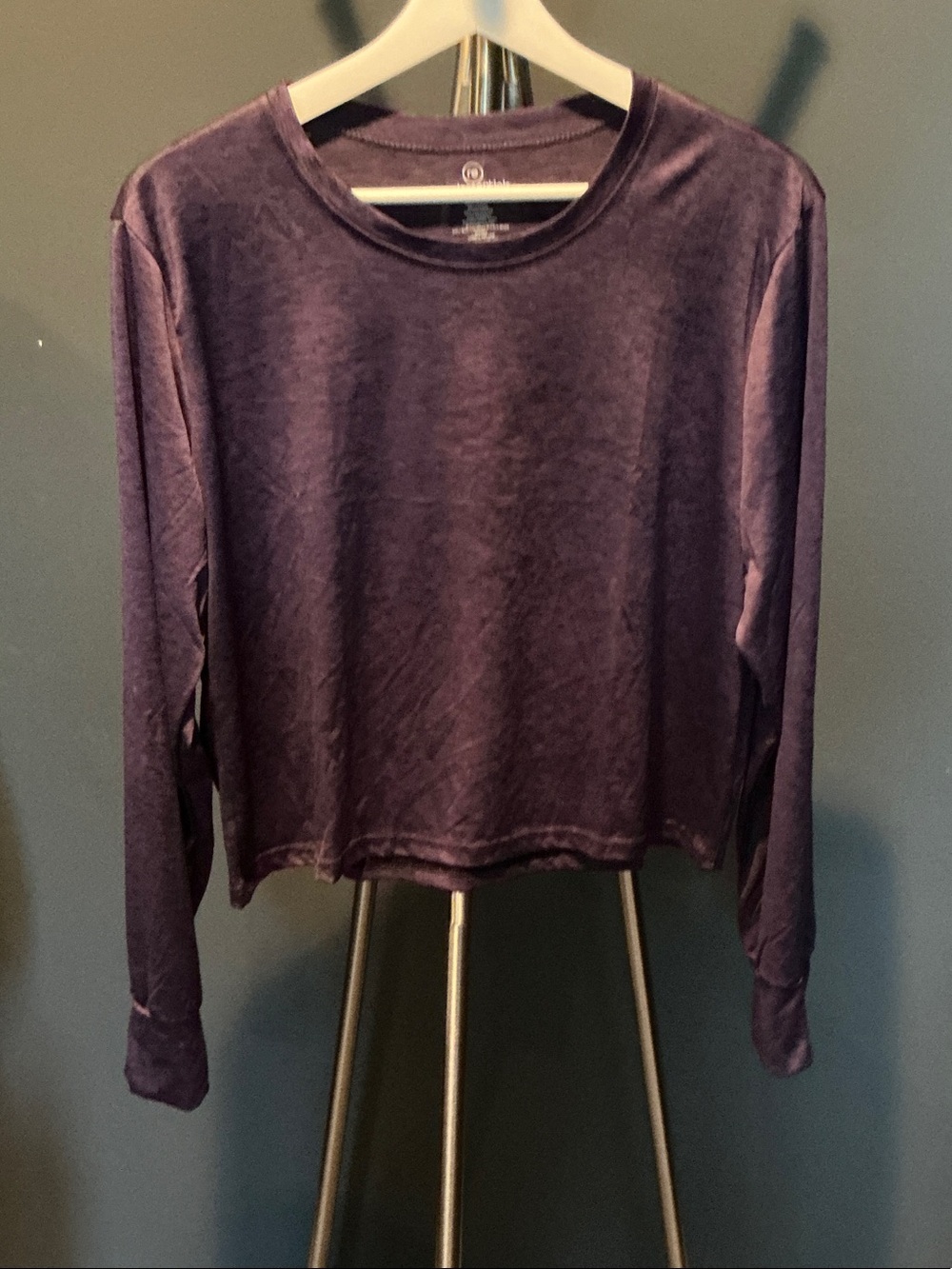 Women's Long Sleeve Crewneck Crop-top - Purple